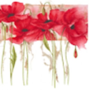 Meet your Posher, Jacqui